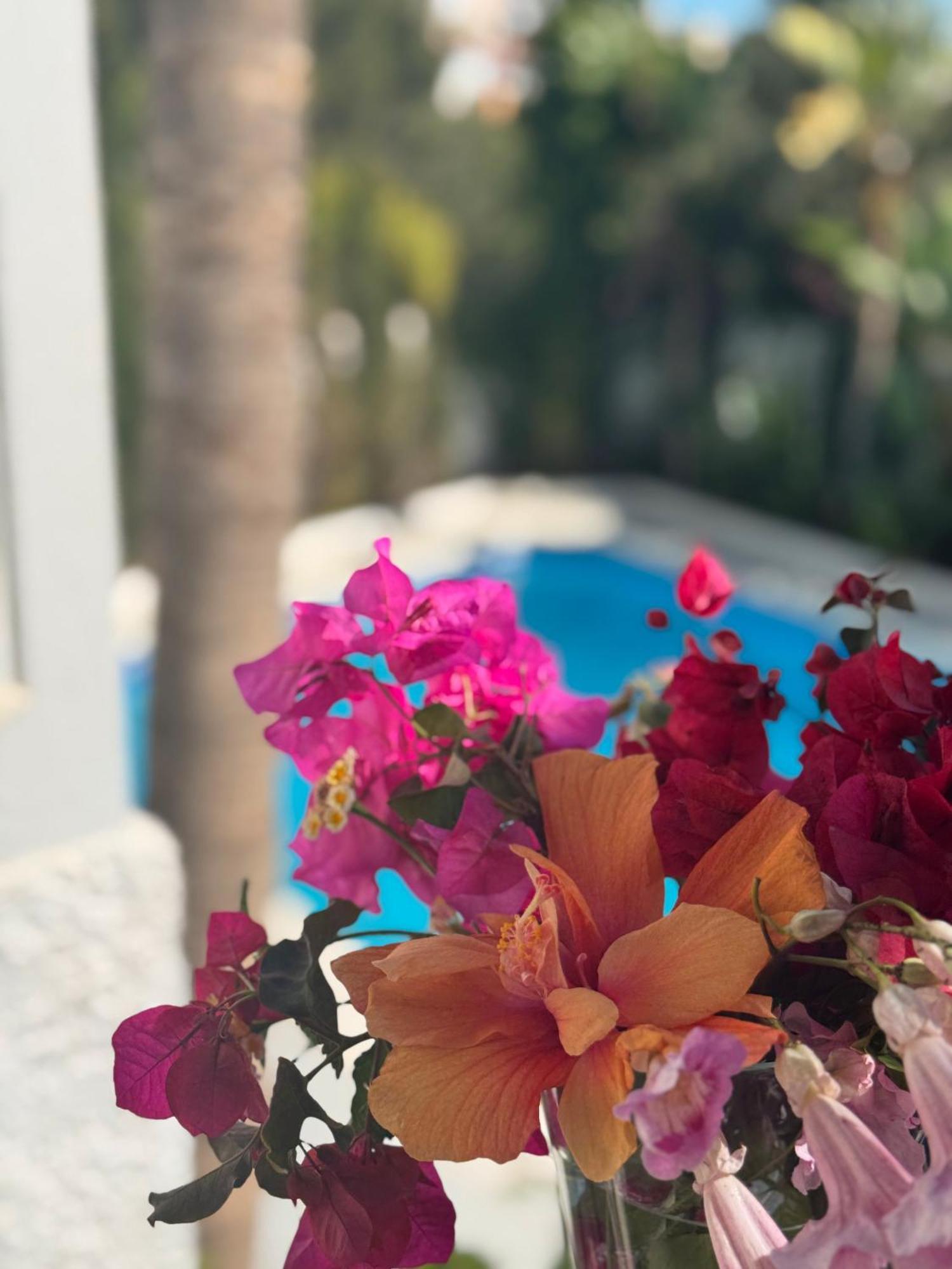 Villa Nerja Eksteriør bilde